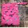 Cheeky Wipes Double Wetbag Pink Birds small